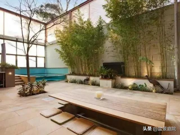 家有竹園，這才是極具風雅之事