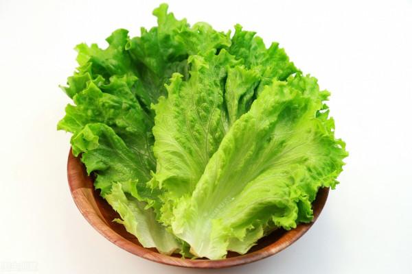 為何不吃米和麵,體重下降得會比較快?是時候聊聊減肥的那些事了 為何不吃米和麵,體重下降得會比較快?是時候聊聊減肥的那些事了