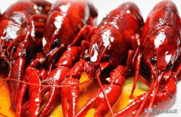 今年農民養殖這幾樣，有前景