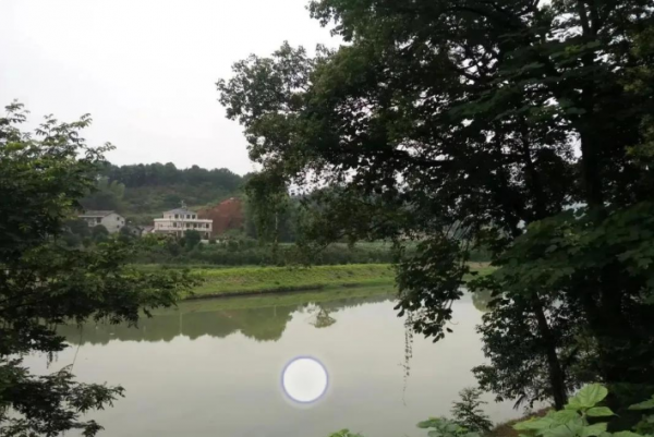 芒果臺新綜藝捧紅另類網紅，獲得央媒誇讚，為行業樹立新標杆