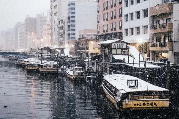 2022東京初雪,這個近45年來最冷的冬天,美翻了 2022東京初雪,這個近45年來最冷的冬天,美翻了