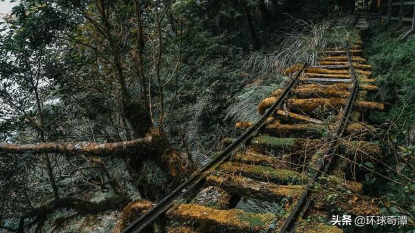 中國臺灣省：霧氣籠罩的太平山國家森林遊樂區