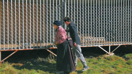 四川甘孜：父子接力照料雪豹3年 白唇鹿在護林員家成長