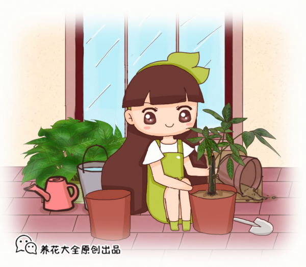 養花澆水十年功，牢記2個小妙招，輕鬆搞定澆水問題