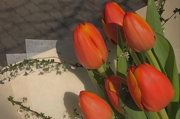 十年飲冰難涼熱血，這些星座的正義感和善良，是刻在骨子裡的