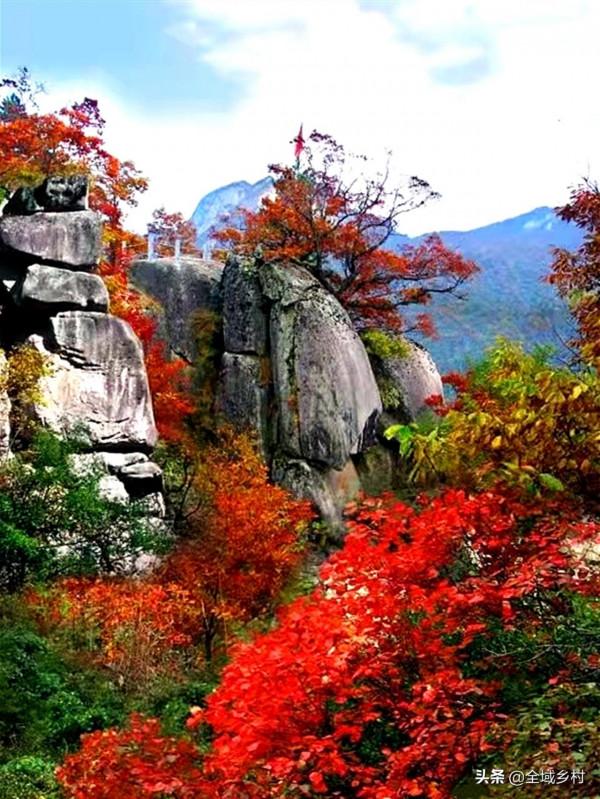 欒川的大景區都免費了，趁著秋日去欣賞紅葉，門票錢能省下不少