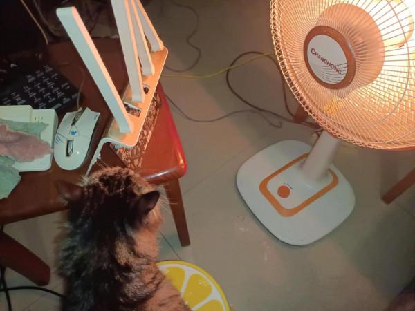 360P4G路由器拆機，看看是不是漏油導致WiFi訊號能連線卻沒流量