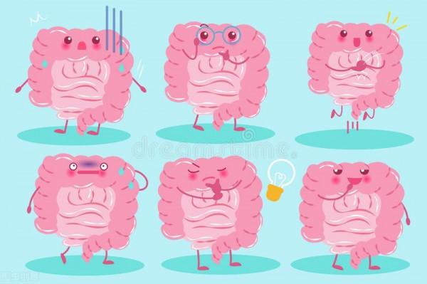 要想胃腸病好得快,腸胃的營養不能忽視 要想胃腸病好得快,腸胃的營養不能忽視