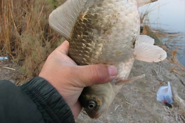 冬天會走釣,漁獲少不了,幾個關於冬季走釣的小技巧 冬天會走釣,漁獲少不了,幾個關於冬季走釣的小技巧