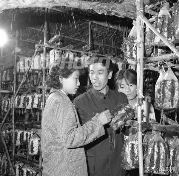 張家口市八十年代老照片 張家口市八十年代老照片