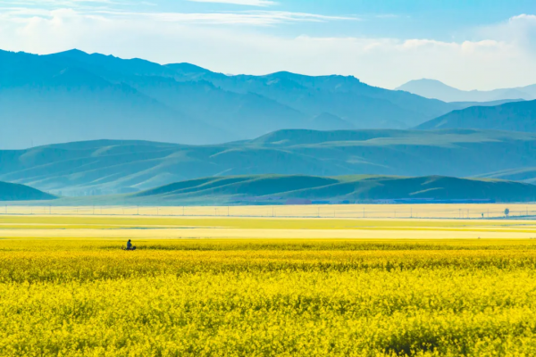 這些小眾旅行地，我每個都想去。你呢？