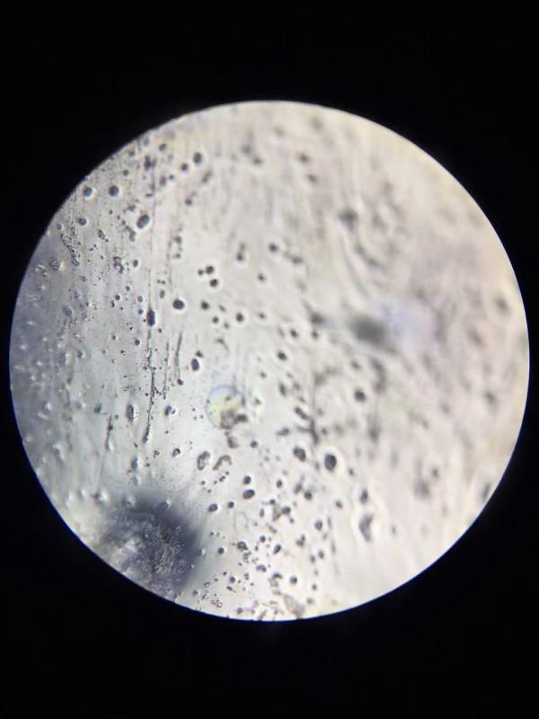 宣德酒藍釉香爐―鑑定