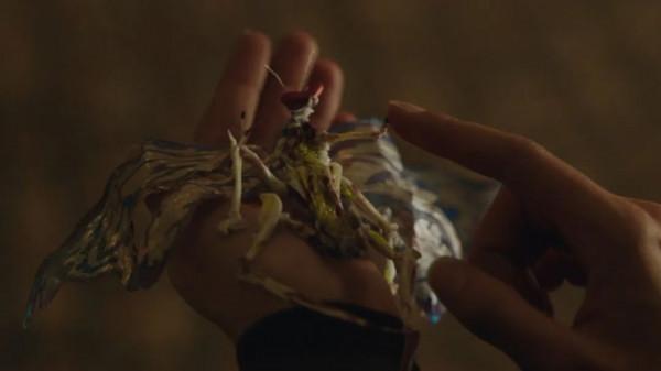 和平使者第7集，別惹和平使者的鷹，不然親爹都殺