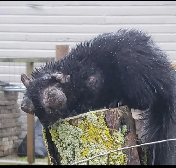 28張圖片帶你看看你不瞭解的世界，看完整個人都舒服了