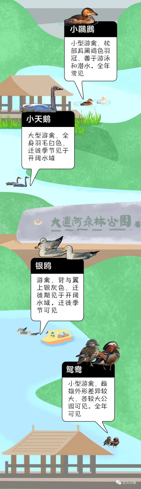 北 京 百 鳥 圖 鑑