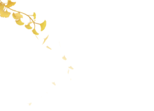 從心血管事件考慮：胃旁路 vs 袖狀胃切除，哪種減重術更好？