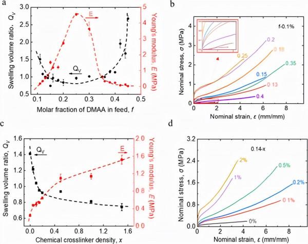 華南理工大學：具有動態 H 鍵的堅韌水凝膠：結構異質性和機械效能