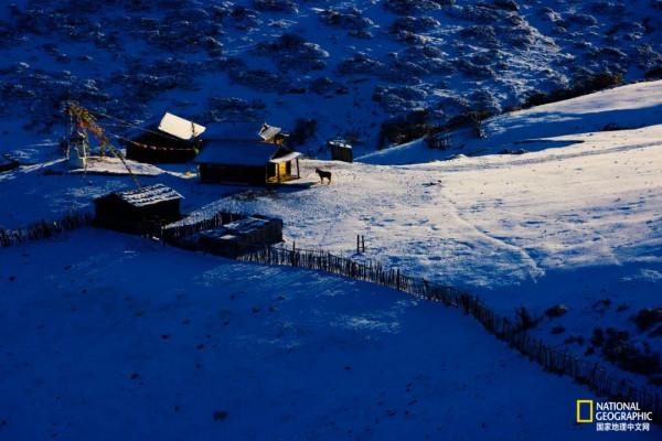 怒放的木裡，美到不真實