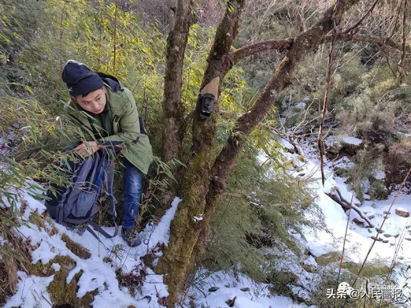 新春走基層 &vert; 他們，守護著&OpenCurlyDoubleQuote;野生&rdquo;冰墩墩