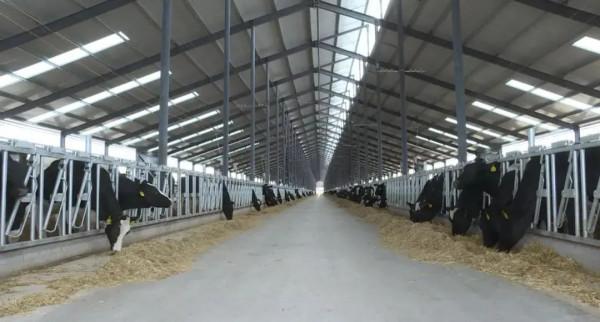 又一乳企計劃退市