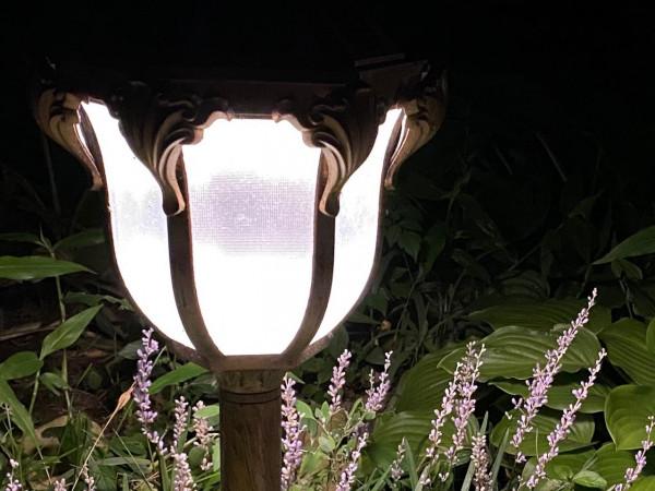 意不意外? 華為P50 Pro首測2: 網友要求再拍10組對比, 逼出它影像極限