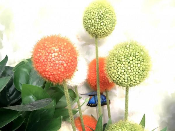 做為兒女,有回報於父母了嗎 做為兒女,有回報於父母了嗎