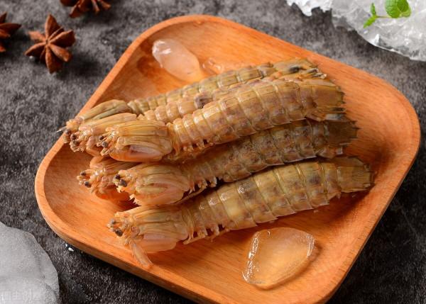 皮皮蝦其實並不是蝦類！世界上最大的皮皮蝦有1.6米長