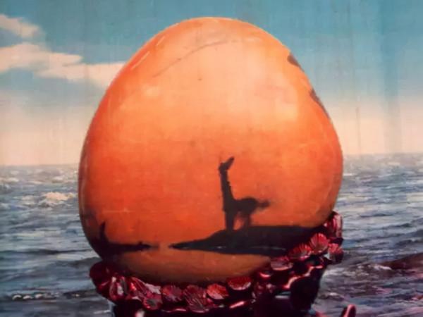 高價成交的66方奇石欣賞