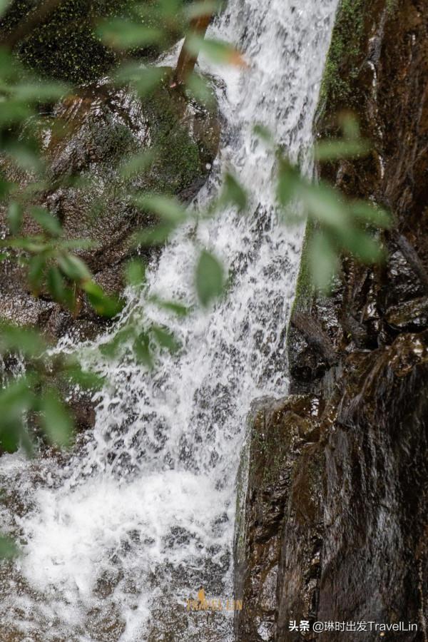 安吉絕美徒步道在這裡