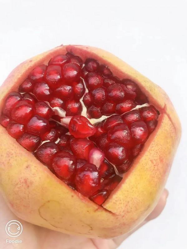 什麼是健康狀態？那什麼是亞健康狀態呢？