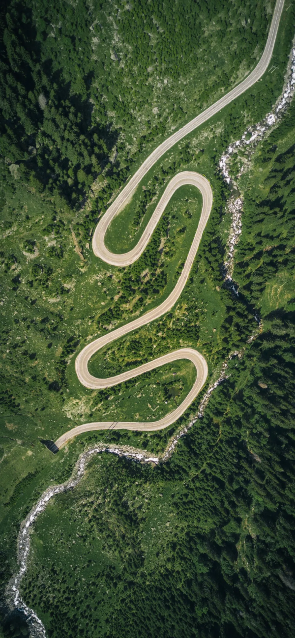 桌布：今天的桌布很好看