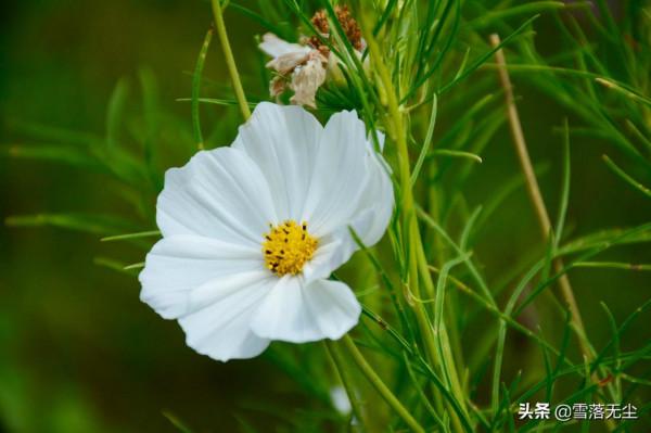 一個人,越“剋制”,日子越順 一個人,越“剋制”,日子越順