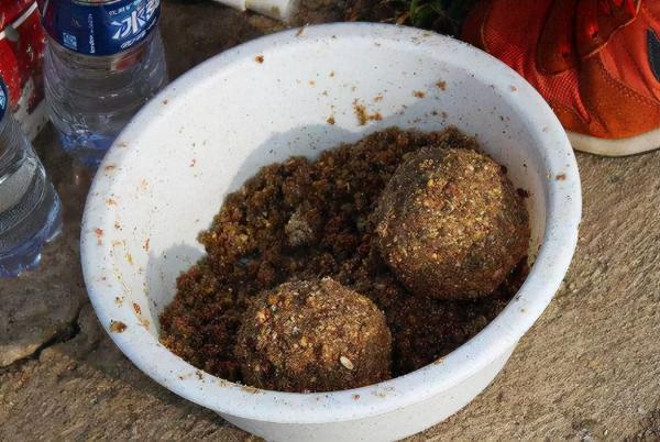 野釣試試這兩種打窩方法，專門針對鯉魚和草魚，魚口一竿接一竿