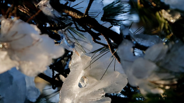 初冬寒色深,心有想兮,遂何心 初冬寒色深,心有想兮,遂何心