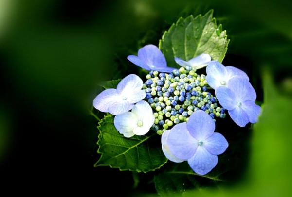 &OpenCurlyDoubleQuote;有無福氣，一看便知&rdquo;：一個家庭的福氣，取決於這三個人的貌相