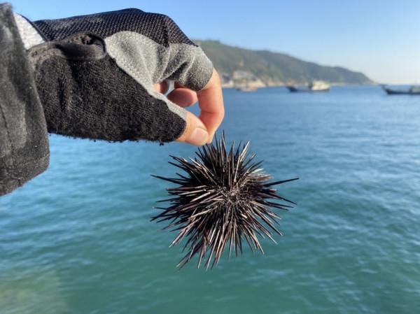 來一場說走就走的垂釣之旅，成功解鎖新魚種