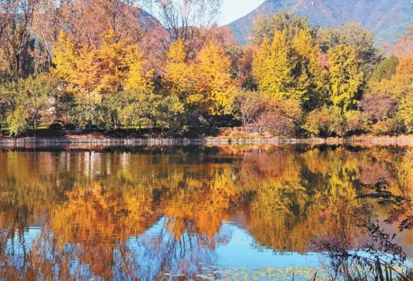 京彩秋色 京彩秋色