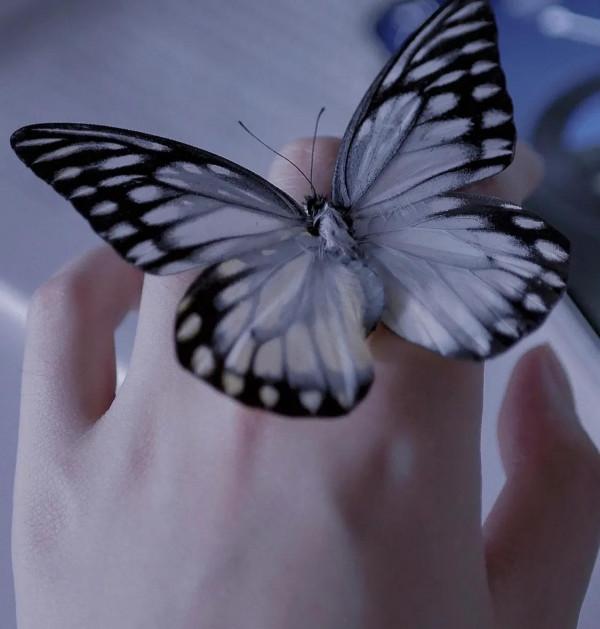 每天學成語 每天學成語