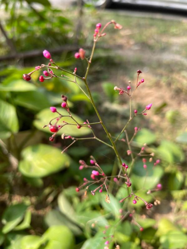 悠然自得的生活 悠然自得的生活