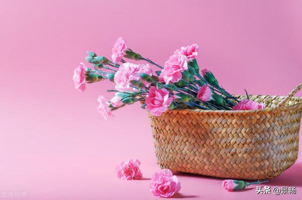 拎不清的父母，耳濡目染教給我的“四字箴言”（Ⅱ）