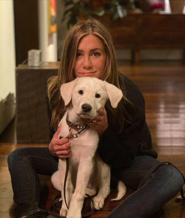 看了20年前的安妮斯頓，才知道她為什麼能成為“美國甜心”