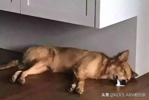 健步最好,那你對它有沒有誤解 健步最好,那你對它有沒有誤解