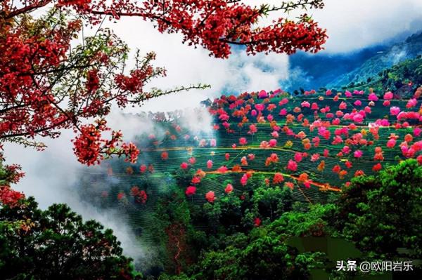 2021年僅剩二十多天,去這10個地方,赴一場久違的旅行吧 2021年僅剩二十多天,去這10個地方,赴一場久違的旅行吧