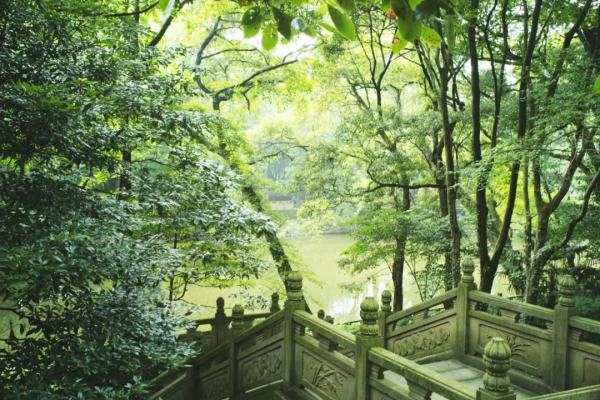 別再說什麼小京都了，寧波這些寺廟來打臉了