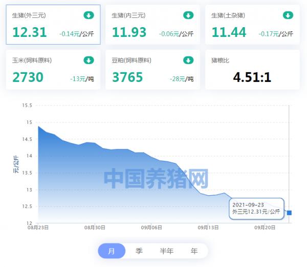 6元豬價還未見底？過度下跌是誰造成的？