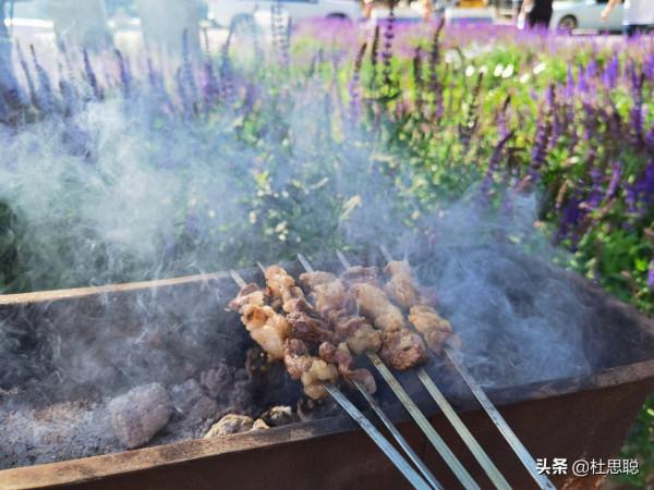 漢EV自駕新疆，第一次使用自動泊車，第一次自制烤串真香啊