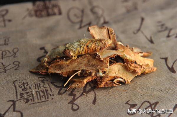 風疹、溼症？送你一劑消風散，祛風止癢、清熱燥溼，兼可養血