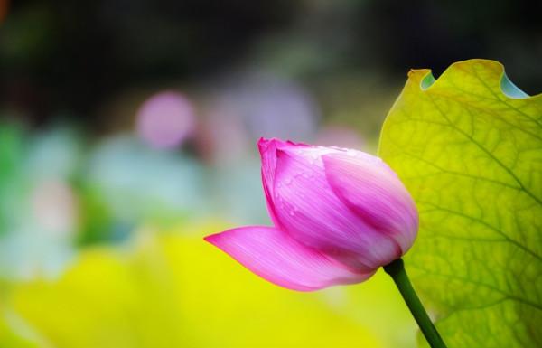 不管你多善良,也不要去扶以下“三種人” 不管你多善良,也不要去扶以下“三種人”