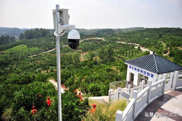 管理大果園8年，我踩過的5個大坑，每坑都裝著辛酸淚