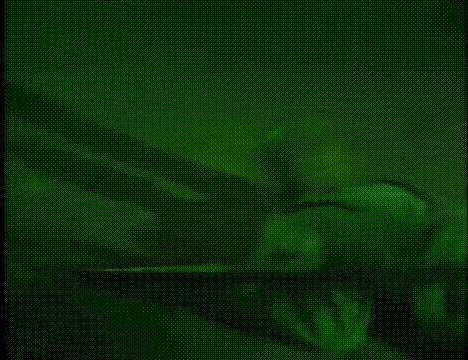 6集《楊家將》,不求最好,但求最牛,這才是“神仙打架”的陣容 6集《楊家將》,不求最好,但求最牛,這才是“神仙打架”的陣容